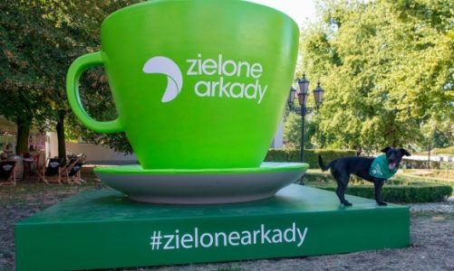 Setki zdjęć z wielkimi zielonymi figurami w Bydgoszczy