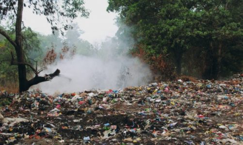 Świat tonie w plastiku. Rezygnacja z „foliówek” może pomóc środowisku