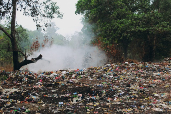 Świat tonie w plastiku. Rezygnacja z „foliówek” może pomóc środowisku