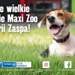 Maxi ZOO otworzy się w Galerii Zaspa