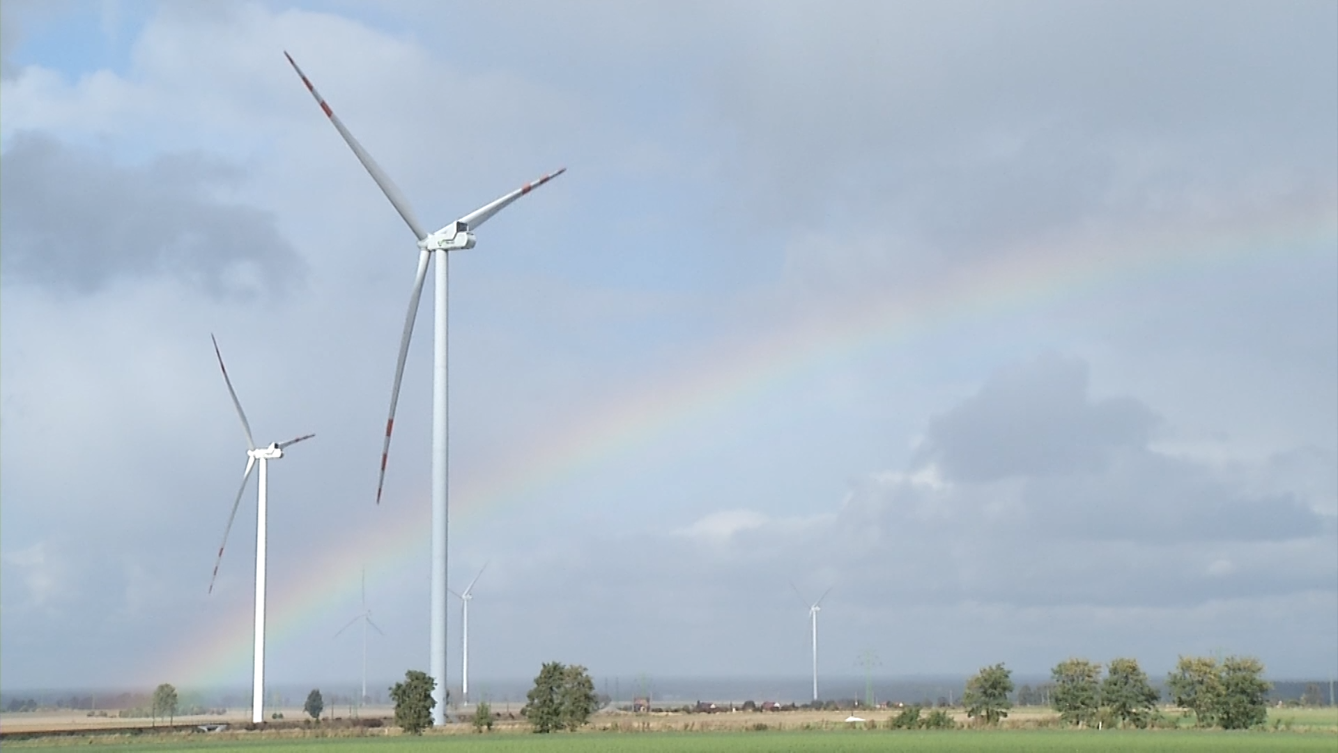 Klimat i energetyka zdominowały dyskusje przed wyborami samorządowymi. Wyborcy oczekują zielonych zmian i taniej energii [DEPESZA]